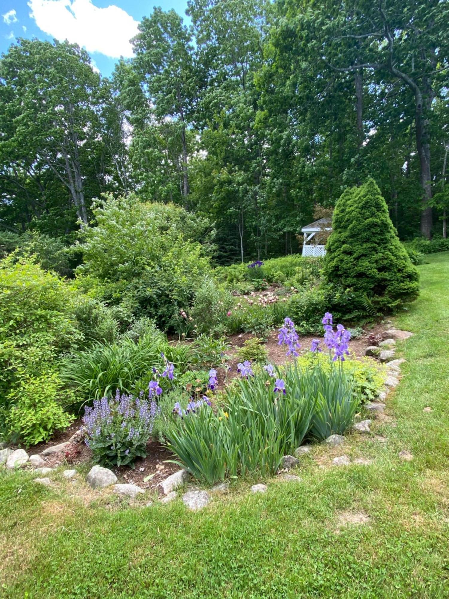 Victorian By The Sea Bed & Breakfast Lincolnville Exterior foto